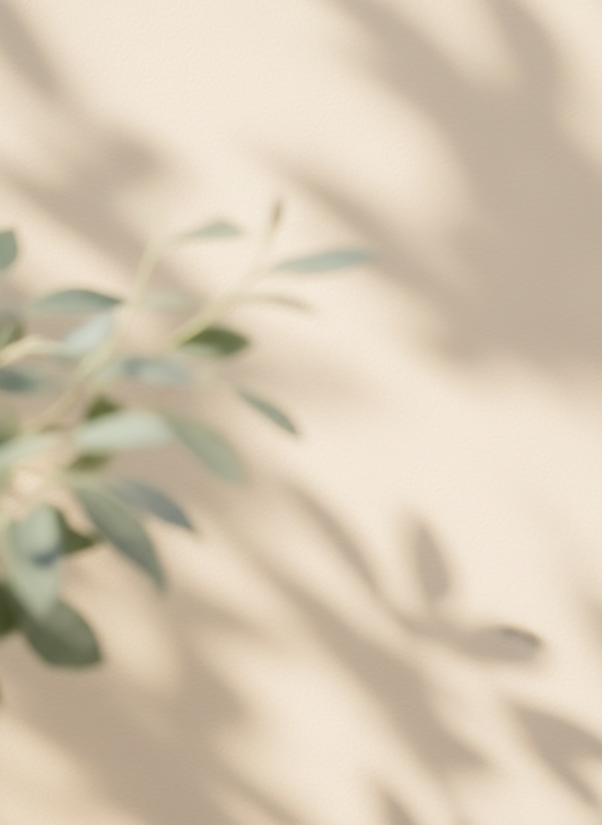 Gentle sunlight through leaves casting calm shadows on a beige wall with sage green foliage